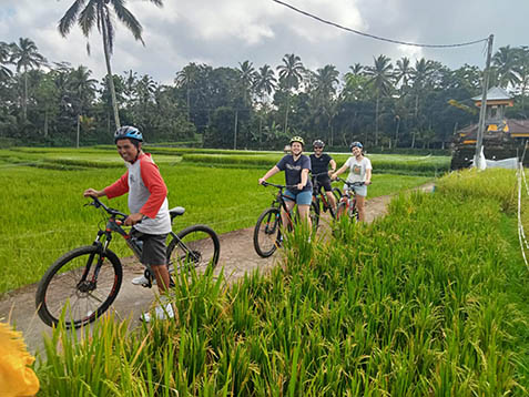 Bali bike tour group starting their downhill cycling journey in Ubud