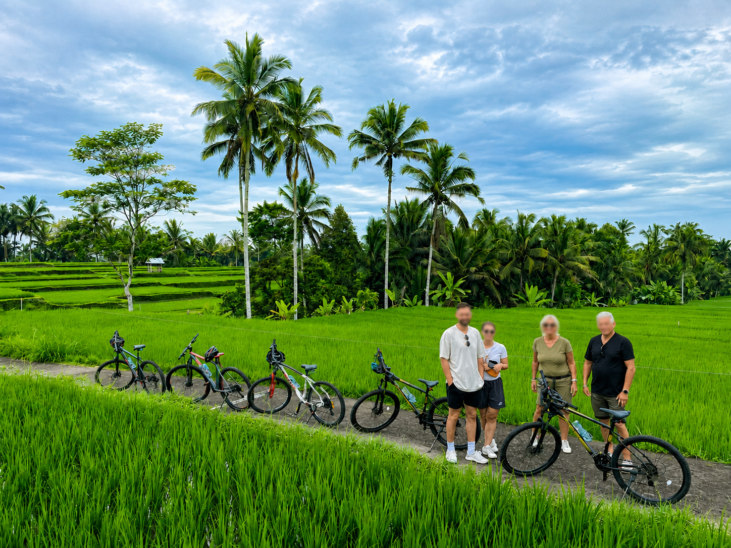 Bali Bike Adventures - Downhill cycling tour group with local guide in Ubud Bali